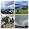 Dateiname=Manni_3~75.JPG
Dateigröße=1035KB
Abmessungen: 1200x1200
hinzugefügt am: 15. April 2025 Manni_3~75.JPG