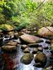 Dateiname=Manni_4~28.JPG
Dateigröße=1203KB
Abmessungen: 900x1200
hinzugefügt am: 01. Oktober 2024 Manni_4~28.JPG
