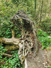 Dateiname=Manni_4~29.JPG
Dateigröße=1761KB
Abmessungen: 900x1200
hinzugefügt am: 03. Oktober 2024 Manni_4~29.JPG