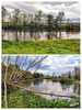 Dateiname=Manni_5~33.JPG
Dateigröße=1145KB
Abmessungen: 901x1200
hinzugefügt am: 21. Oktober 2024 Manni_5~33.JPG