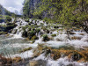 Dateiname=Manni_5~52.JPG
Dateigröße=1534KB
Abmessungen: 1200x900
hinzugefügt am: 19. April 2025 Manni_5~52.JPG