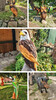Dateiname=Manni_6~6.JPG
Dateigröße=846KB
Abmessungen: 675x1200
hinzugefügt am: 18. August 2024 Manni_6~6.JPG