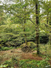 Dateiname=Manni_7~5.JPG
Dateigröße=1768KB
Abmessungen: 900x1200
hinzugefügt am: 03. Oktober 2024 Manni_7~5.JPG