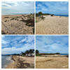 Dateiname=Manni_8~8.JPG
Dateigröße=1134KB
Abmessungen: 1200x1200
hinzugefügt am: 13. Oktober 2024 Manni_8~8.JPG