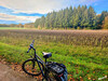 Dateiname=Manni_9~11.JPG
Dateigröße=1446KB
Abmessungen: 1200x900
hinzugefügt am: 21. Oktober 2024 Manni_9~11.JPG