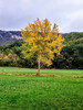 Dateiname=Manni_Baum.jpg
Dateigröße=1486KB
Abmessungen: 900x1200
hinzugefügt am: 16. Oktober 2024 Manni_Baum.jpg