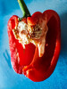 Dateiname=Manni_Eine_fast_perfekte_Vampirzahn-Paprika.jpg
Dateigröße=1007KB
Abmessungen: 900x1200
hinzugefügt am: 24. Februar 2023 Manni_Eine_fast_perfekte_Vampirzahn-Paprika.jpg