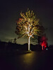 Dateiname=Manni_Herbstleuchten.jpg
Dateigröße=684KB
Abmessungen: 900x1200
hinzugefügt am: 31. Oktober 2024 Manni_Herbstleuchten.jpg
