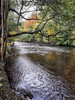 Dateiname=Manni_Rur_ohe_h_IMG_20221013_173758~2.jpg
Dateigröße=1706KB
Abmessungen: 900x1200
hinzugefügt am: 15. Oktober 2022 Manni_Rur_ohe_h_IMG_20221013_173758~2.jpg