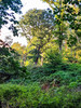 Dateiname=Manni_c0cf6332-9faa-4035-a75d-d5531fa0c281.JPG
Dateigröße=1637KB
Abmessungen: 900x1200
hinzugefügt am: 06. Oktober 2022 Manni_c0cf6332-9faa-4035-a75d-d5531fa0c281.JPG
