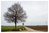 Dateiname=Marianne_Baeume_und_Straeucher_Auf_dem_Feld_.jpg
Dateigröße=821KB
Abmessungen: 1200x818
hinzugefügt am: 21. März 2023 Marianne_Baeume_und_Straeucher_Auf_dem_Feld_.jpg