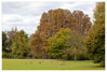 Dateiname=Marianne_Herbstlicher_Baum__Wald_Baumgruppe.jpg
Dateigröße=1309KB
Abmessungen: 1200x815
hinzugefügt am: 15. Oktober 2024 Marianne_Herbstlicher_Baum__Wald_Baumgruppe.jpg