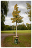 Dateiname=Marianne_Herbstlicher_Baum__Wald_Kleiner_Baum.jpg
Dateigröße=1227KB
Abmessungen: 814x1200
hinzugefügt am: 09. Oktober 2024 Marianne_Herbstlicher_Baum__Wald_Kleiner_Baum.jpg