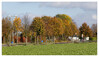 Dateiname=Marianne_Herbstlicher_Baum__Wald_RAllee.jpg
Dateigröße=1118KB
Abmessungen: 1200x694
hinzugefügt am: 27. Oktober 2024 Marianne_Herbstlicher_Baum__Wald_RAllee.jpg