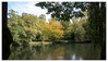 Dateiname=Marianne_Herbstlicher_Baum__Wald_Ruebergeschaut.jpg
Dateigröße=1124KB
Abmessungen: 1200x693
hinzugefügt am: 06. Oktober 2024 Marianne_Herbstlicher_Baum__Wald_Ruebergeschaut.jpg