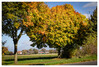 Dateiname=Marianne_Herbstlicher_Baum__Wald_Von_gruen_bis_rot_1.jpg
Dateigröße=1733KB
Abmessungen: 1200x814
hinzugefügt am: 23. Oktober 2024 Marianne_Herbstlicher_Baum__Wald_Von_gruen_bis_rot_1.jpg