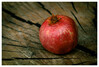 Dateiname=Marianne_Ich_sehe_rot_Granatapfel_kk_04.jpg
Dateigröße=833KB
Abmessungen: 1200x814
hinzugefügt am: 11. Dezember 2024 Marianne_Ich_sehe_rot_Granatapfel_kk_04.jpg