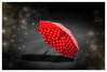 Dateiname=Marianne_Ich_sehe_rot_Regenschirm_02.jpg
Dateigröße=474KB
Abmessungen: 1200x815
hinzugefügt am: 26. Dezember 2024 Marianne_Ich_sehe_rot_Regenschirm_02.jpg