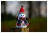 Dateiname=Marianne_Ich_sehe_rot_Schneemann_ohne_Schnee.jpg
Dateigröße=538KB
Abmessungen: 1200x816
hinzugefügt am: 29. Dezember 2024 Marianne_Ich_sehe_rot_Schneemann_ohne_Schnee.jpg