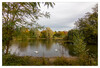 Dateiname=Marianne_Jroene_Meerke_04.jpg
Dateigröße=1231KB
Abmessungen: 1200x817
hinzugefügt am: 25. Oktober 2022 Marianne_Jroene_Meerke_04.jpg