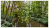 Dateiname=Marianne_Landschaft.jpg
Dateigröße=1345KB
Abmessungen: 1200x693
hinzugefügt am: 04. Oktober 2022 Marianne_Landschaft.jpg