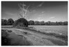 Dateiname=Marianne_Landschaft_mit_Birke_s-w_01.jpg
Dateigröße=592KB
Abmessungen: 1200x814
hinzugefügt am: 17. Oktober 2022 Marianne_Landschaft_mit_Birke_s-w_01.jpg