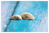 Dateiname=Marianne_Nahaufnahme_Muscheln_01.jpg
Dateigröße=732KB
Abmessungen: 1200x818
hinzugefügt am: 26. April 2023 Marianne_Nahaufnahme_Muscheln_01.jpg