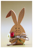 Dateiname=Marianne_Nahaufnahme_Osterhase_04.jpg
Dateigröße=648KB
Abmessungen: 816x1200
hinzugefügt am: 08. April 2023 Marianne_Nahaufnahme_Osterhase_04.jpg