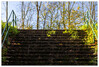 Dateiname=Marianne_Treppe_Stufen_hoch_zum_LIcht.jpg
Dateigröße=1295KB
Abmessungen: 1200x812
hinzugefügt am: 04. November 2024 Marianne_Treppe_Stufen_hoch_zum_LIcht.jpg