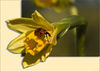 Dateiname=Marienkäfer_der_Erste_0101_Experiment.jpg
Dateigröße=277KB
Abmessungen: 850x614
hinzugefügt am: 17. Februar 2011 Marienkäfer_der_Erste_0101_Experiment.jpg