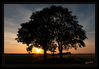 Dateiname=Mein_Freund_der_Baum_Sonnenuntergang_01_Kopie.jpg
Dateigröße=412KB
Abmessungen: 850x590
hinzugefügt am: 30. Juni 2018 Mein_Freund_der_Baum_Sonnenuntergang_01_Kopie.jpg