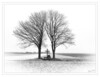 Dateiname=Mein_Freund_der_Baum_s-w_01.jpg
Dateigröße=609KB
Abmessungen: 1200x925
hinzugefügt am: 16. Januar 2024 Mein_Freund_der_Baum_s-w_01.jpg