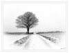 Dateiname=Mein_Freund_der_Baum_s-w_04.jpg
Dateigröße=513KB
Abmessungen: 1200x925
hinzugefügt am: 16. Januar 2024 Mein_Freund_der_Baum_s-w_04.jpg