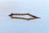 Dateiname=Minimalismus_Baumstamm_im_Wasser_k_02.jpg
Dateigröße=431KB
Abmessungen: 1200x800
hinzugefügt am: 04. Februar 2021 Minimalismus_Baumstamm_im_Wasser_k_02.jpg