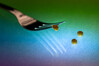 Dateiname=Minimalismus_Gabel_und_Erbse_08.jpg
Dateigröße=518KB
Abmessungen: 1200x800
hinzugefügt am: 09. Februar 2021 Minimalismus_Gabel_und_Erbse_08.jpg