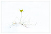 Dateiname=Minimalismus_kleine_Eiche_01.jpg
Dateigröße=282KB
Abmessungen: 1200x818
hinzugefügt am: 12. Februar 2021 Minimalismus_kleine_Eiche_01.jpg