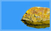 Dateiname=Minimalistisch_Elise_-Stein_im_Wasser.jpg
Dateigröße=1092KB
Abmessungen: 2000x1244
hinzugefügt am: 14. Juni 2023 Minimalistisch_Elise_-Stein_im_Wasser.jpg