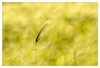 Dateiname=Minimalistisch_Marianne_Korn_03_.jpg
Dateigröße=484KB
Abmessungen: 1200x818
hinzugefügt am: 04. Juni 2023 Minimalistisch_Marianne_Korn_03_.jpg