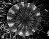 Dateiname=Minimalistisch_Verena_Leber_Mohn.jpg
Dateigröße=224KB
Abmessungen: 1200x948
hinzugefügt am: 02. Juni 2023 Minimalistisch_Verena_Leber_Mohn.jpg