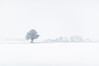Dateiname=Minimalistisch_Winterfeeling_.jpg
Dateigröße=372KB
Abmessungen: 1200x800
hinzugefügt am: 25. Januar 2021 Minimalistisch_Winterfeeling_.jpg