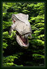 Dateiname=Monto_Verde_Dinos_04_m_R.jpg
Dateigröße=651KB
Abmessungen: 589x850
hinzugefügt am: 06. Juni 2012 Monto_Verde_Dinos_04_m_R.jpg