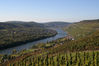 Mosel_Blick_auf_die_Mosel_01.jpg