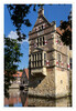 Muensterland_Burg_Vischering_Detail_05.jpg