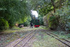Dateiname=Nanne_Gilbachbahn_Dampflok_Weichensteller_05.jpg
Dateigröße=1577KB
Abmessungen: 1200x800
hinzugefügt am: 19. Oktober 2024 Nanne_Gilbachbahn_Dampflok_Weichensteller_05.jpg