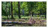 Dateiname=Natur_Pur_P_03.jpg
Dateigröße=2681KB
Abmessungen: 1600x945
hinzugefügt am: 28. April 2020 Natur_Pur_P_03.jpg