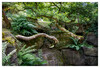 Dateiname=Naturfotografie__Marianne.jpg
Dateigröße=1385KB
Abmessungen: 1200x816
hinzugefügt am: 14. Juli 2024 Naturfotografie__Marianne.jpg