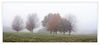 Dateiname=Nebel_Baumgruppe_Pano_03_Kopie_1.jpg
Dateigröße=373KB
Abmessungen: 1024x461
hinzugefügt am: 17. November 2013 Nebel_Baumgruppe_Pano_03_Kopie_1.jpg