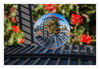 Dateiname=Neuss_Blumen_02.jpg
Dateigröße=349KB
Abmessungen: 850x589
hinzugefügt am: 16. Oktober 2016 Neuss_Blumen_02.jpg