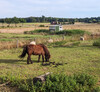 Dateiname=Norbert_1663153338001.jpg
Dateigröße=1358KB
Abmessungen: 1200x1108
hinzugefügt am: 15. September 2022 Norbert_1663153338001.jpg