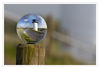 Dateiname=Nordsee_Dicke_Berta_03.jpg
Dateigröße=331KB
Abmessungen: 1024x710
hinzugefügt am: 03. Juni 2019 Nordsee_Dicke_Berta_03.jpg
